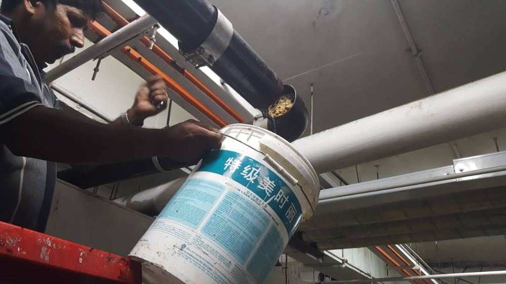Grease trap pipe fitting