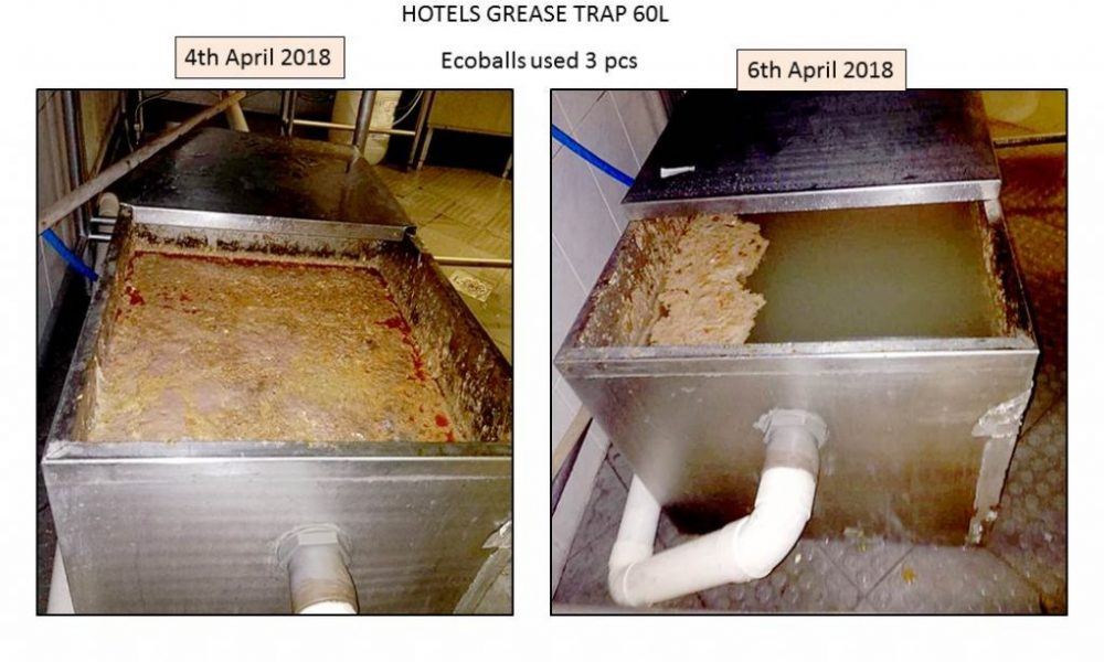 Hotel grease trap before and after enzyme treatment